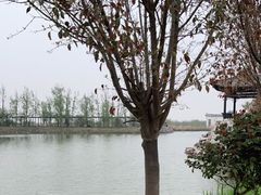 -处女泉风景名胜区