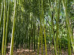 -苏州河梦清园环保主题公园