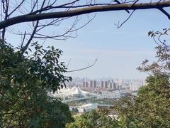 -桃花岭景区