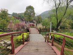 -桃花岭景区