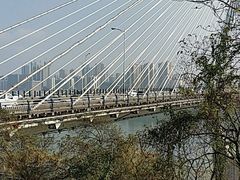 -大渡口区义渡公园