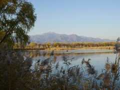 -野鸭湖国家湿地公园