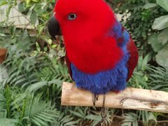 -南宫五洲植物乐园