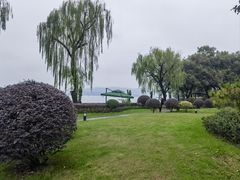 -杭州西湖柳莺里酒店·闻莺厅