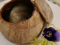 椰皇花胶炖海底椰-宝丽轩中餐厅BAOLIXUAN