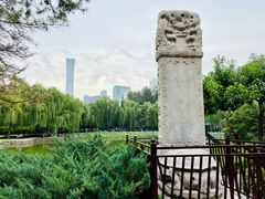 -团结湖公园