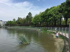 -美兰湖景区