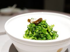 豌豆苗-子福慧(虹桥店)