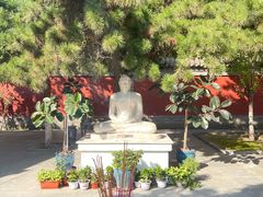 -护国法轮寺