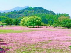 -福建鲤鱼洲酒店