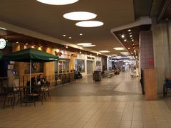 -纽瓦克自由国际机场