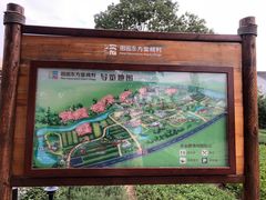 -田园东方蜜桃村的田野营地