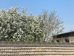 -后海16号·北京私房菜