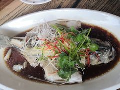 -听香·678茶铺(猛追湾店)