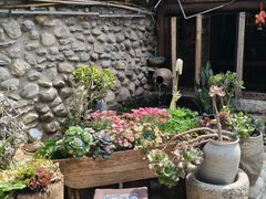 -尽善百年古院餐厅(王家老宅店)