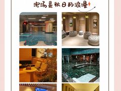 -东方棕泉·洗浴·按摩·美食国际水疗会所(福田店)