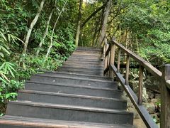 -海南霸王岭国家森林公园