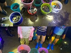 -前王院•巧克力海鲜市集餐厅(万平口店)