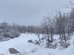 -齐岳山