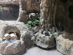 -长鹿旅游休博园