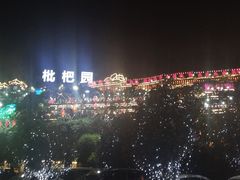 -枇杷园食为鲜火锅(南山店)