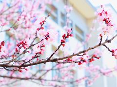 -江南大学(蠡湖校区)