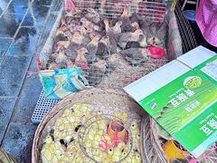 -桂林市花鸟市场