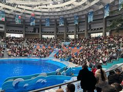 -海合安成都极地海洋公园