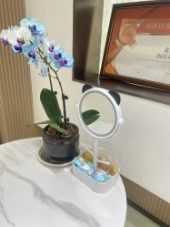 -幼泡泡连锁美容医疗