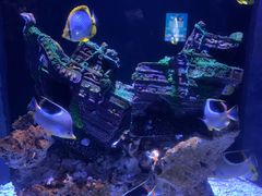 -成都浩海立方海洋公园