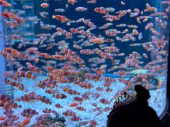 -海合安成都极地海洋公园