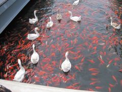 -西安汉城湖景区