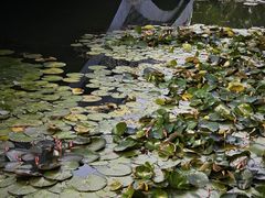 -惠州市中心人民医院(南湖院区)
