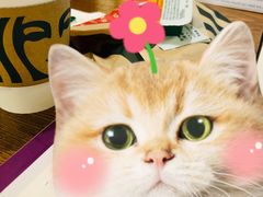 -星巴克(北京成寿寺路店)