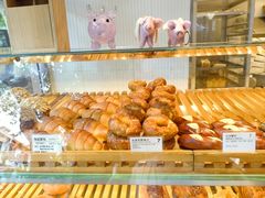 -WHEN PIGS FLY当猪飞