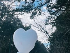 -北海道神宫