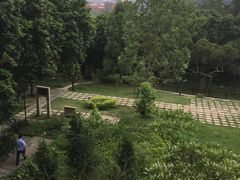 -草庵摩尼教遗址公园