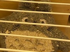 -龙猫仔乐园(惠福东路店)