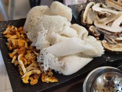 -蘑统田下·野生菌火锅