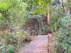 -火炉山森林公园