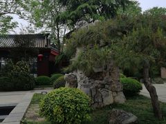 -大雁塔北广场音乐喷泉