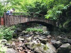 -青峰峡国家森林公园