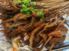 鳝鱼-晓靖轩烧烤(沙河风情店)