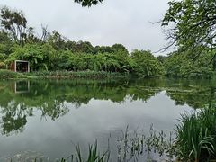 -花溪公园