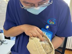 -北京观赏动物医院·24小时大型综合·猫专科·异宠专科