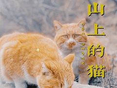 -北京凤凰岭