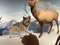 -陕西自然博物馆