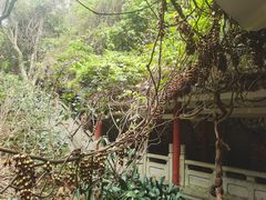 -广州市白云山风景名胜区