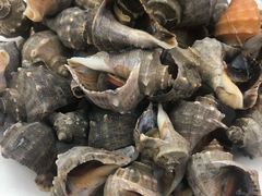 -烁佳海鲜大馅饺子