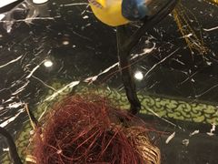 -东林海岸大酒店(缤纷亚洲店)